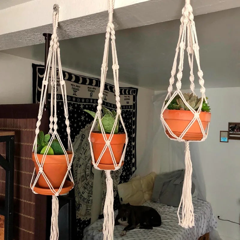 Hanging Garden