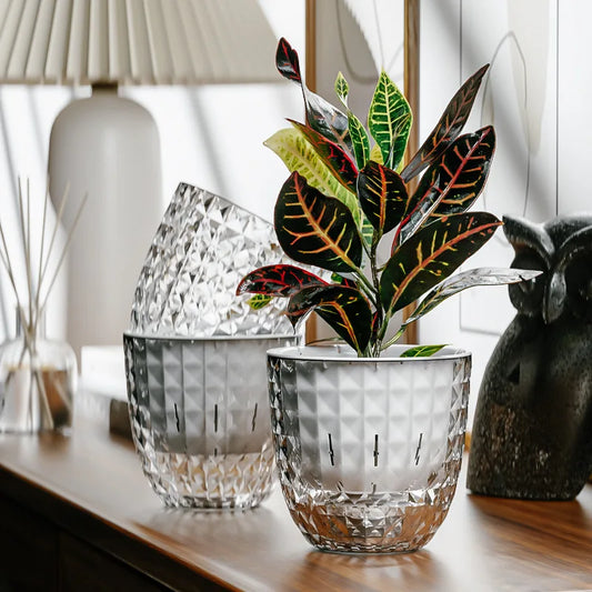 Tranquil Greens Container